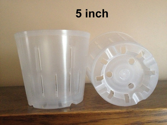 5 inch pot