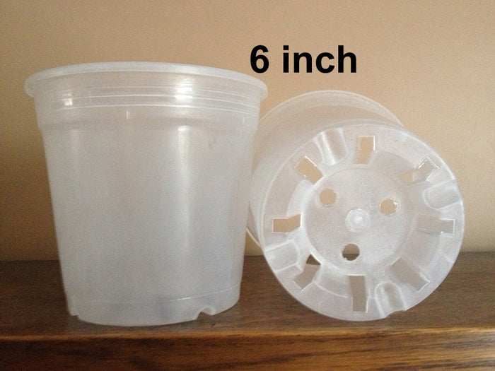 6 inch pot