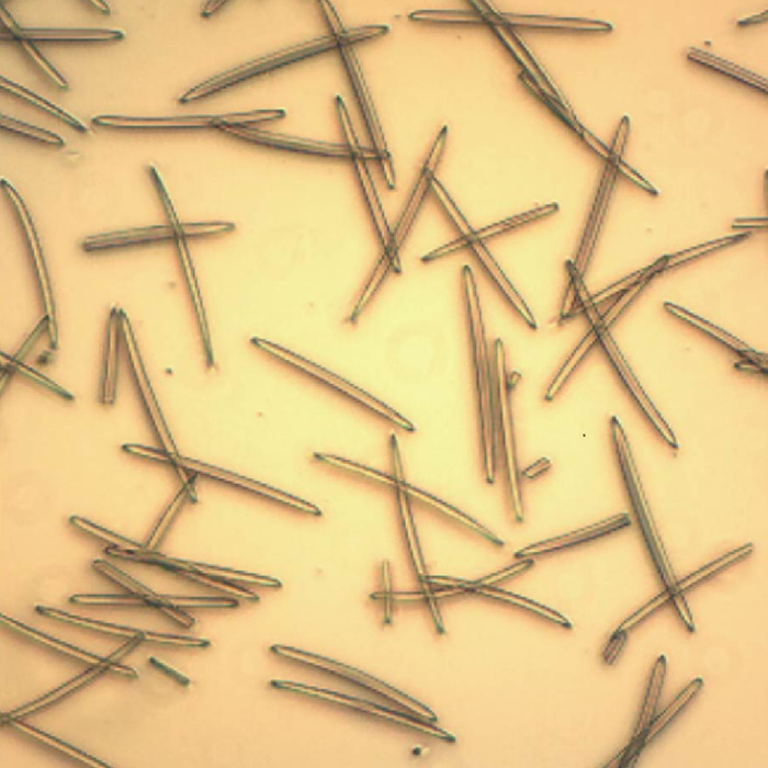 Small metallic objects scattered on a beige background