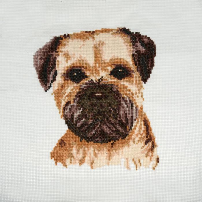 Trimits Counted Cross Stitch Kit Large: Border Terrier, 36x36cm, Includes Aida Fabric, Pre-Sorted Threads, Needle, Personalizing Alphab...