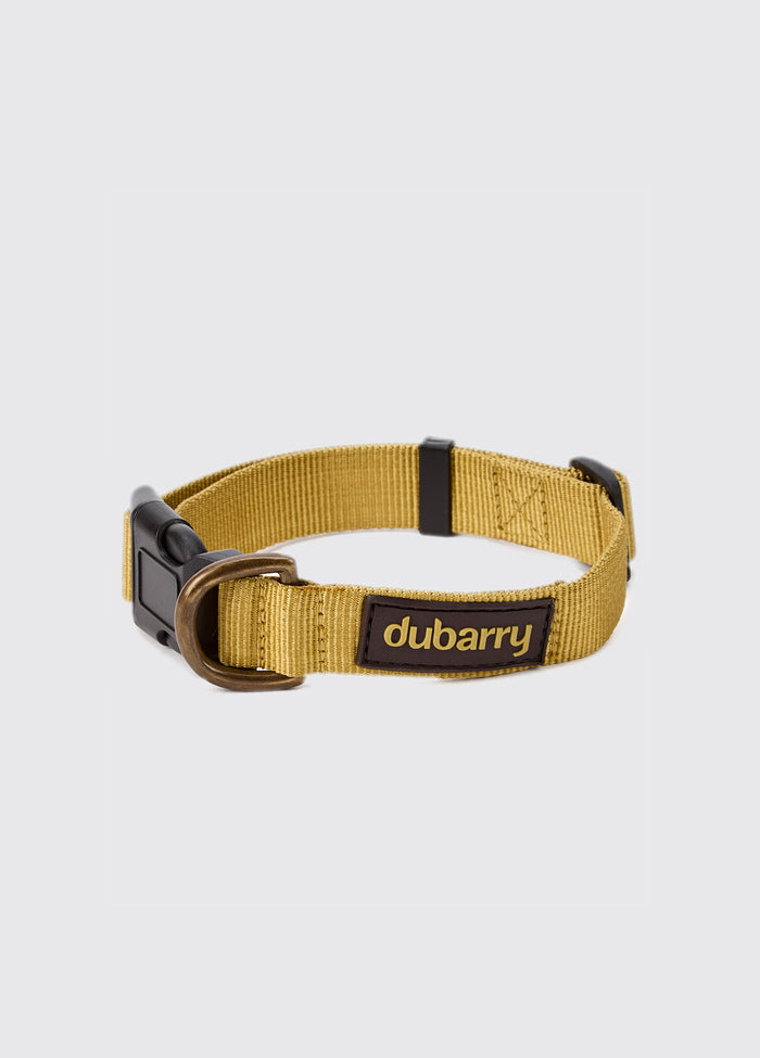 Apollo Nylon collar for dogs - Gold