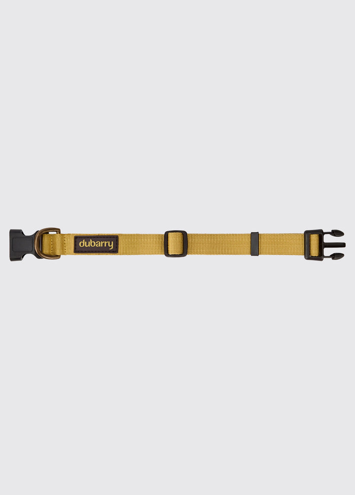 Apollo Nylon collar for dogs - Gold