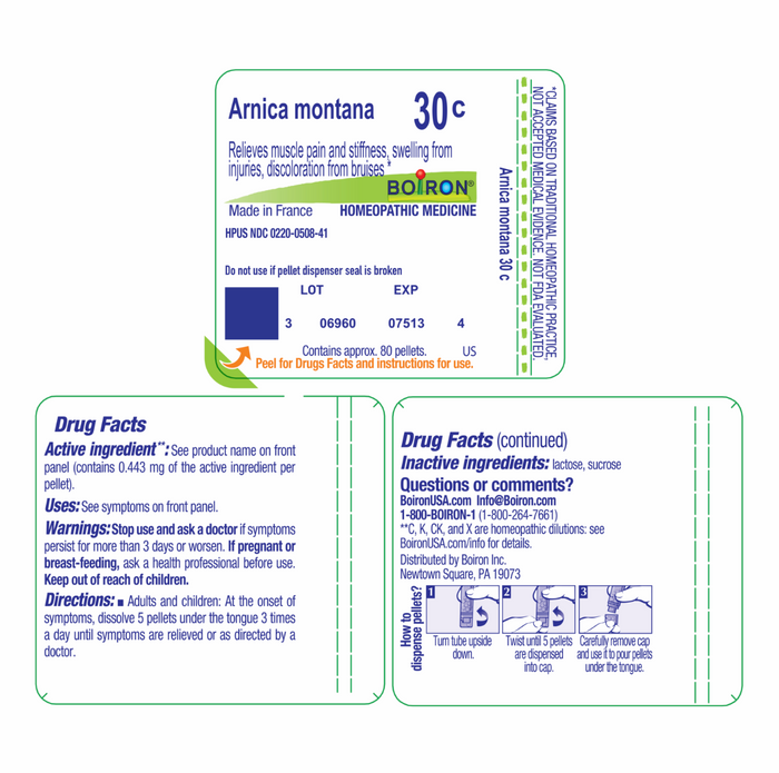 Arnica Montana  | Muscle Pain, Stiffness, and Swelling