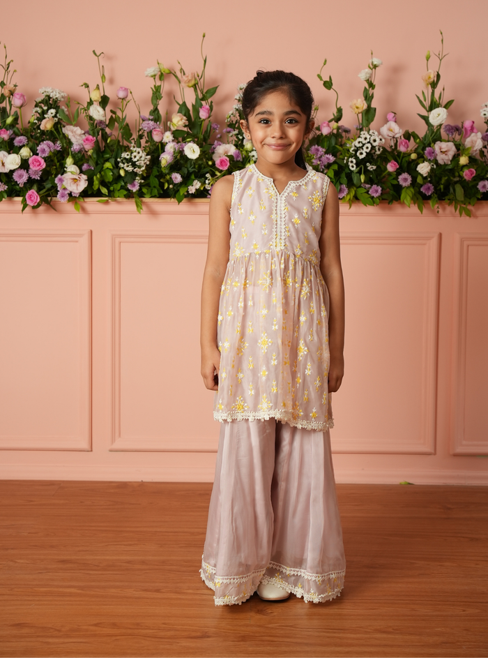 Averine Organza Dusty Pink Kurta Set