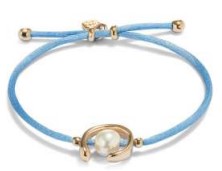 BLUE / GOLD