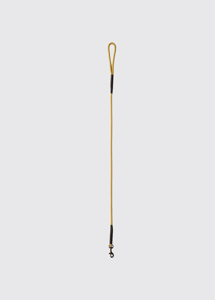 Charlie 4ft (appx) Nylon Rope dog lead - Gold