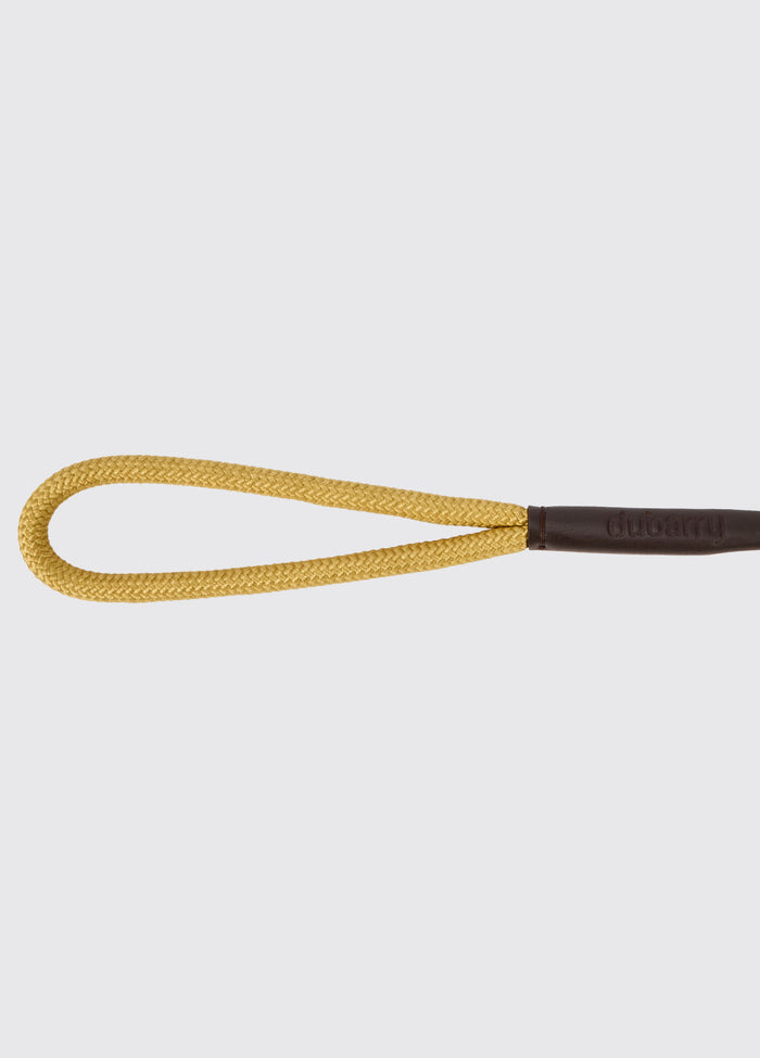 Charlie 4ft (appx) Nylon Rope dog lead - Gold