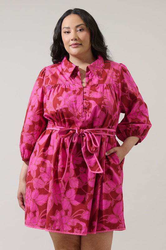 Craney Floral Ravan Collared Mini Dress Curve