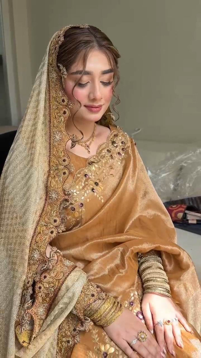 Dabka Tissue Silk: Ayraaz