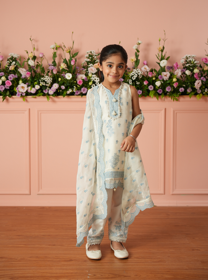 Eirlys Organza Off White Kurta Set