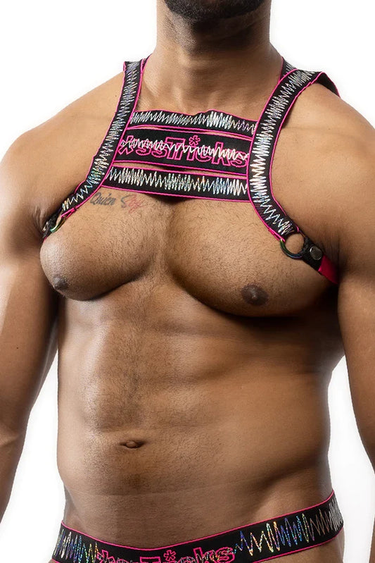 ELECTRO HOLOGRAPHIC HARNESS