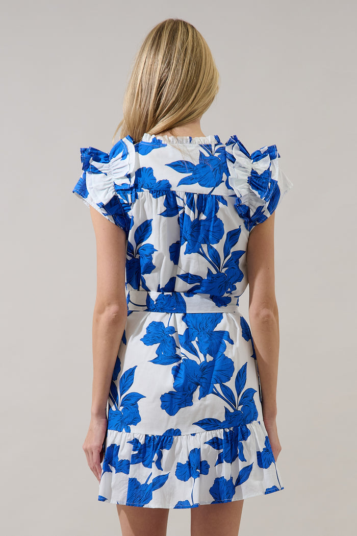 Ivona Ruffle Mini Dress Gemmi Floral
