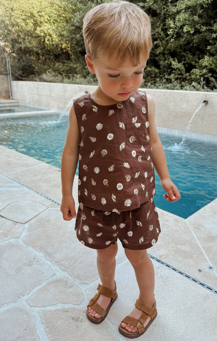 Little Shells Set ~ Cocoa Coast