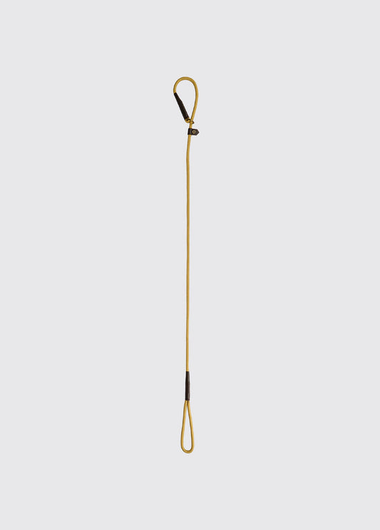 Marley 5ft Nylon Rope slip lead for dogs - Gold