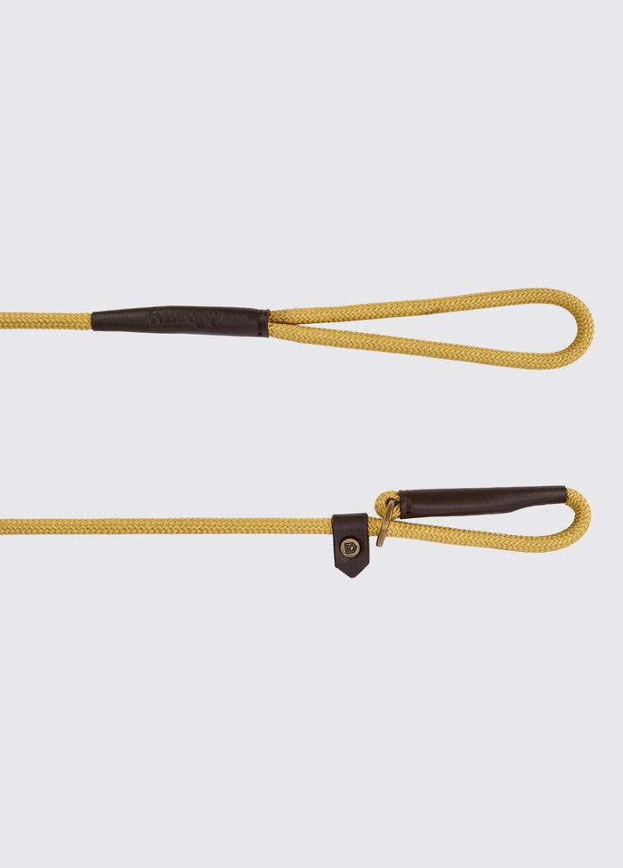 Marley 5ft Nylon Rope slip lead for dogs - Gold