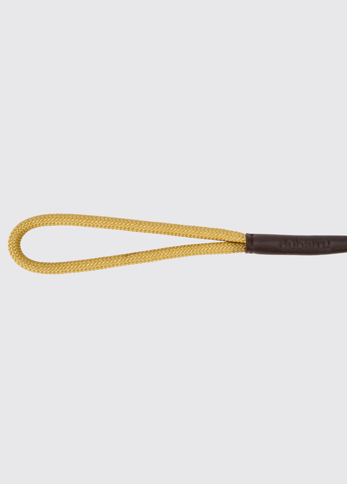 Marley 5ft Nylon Rope slip lead for dogs - Gold