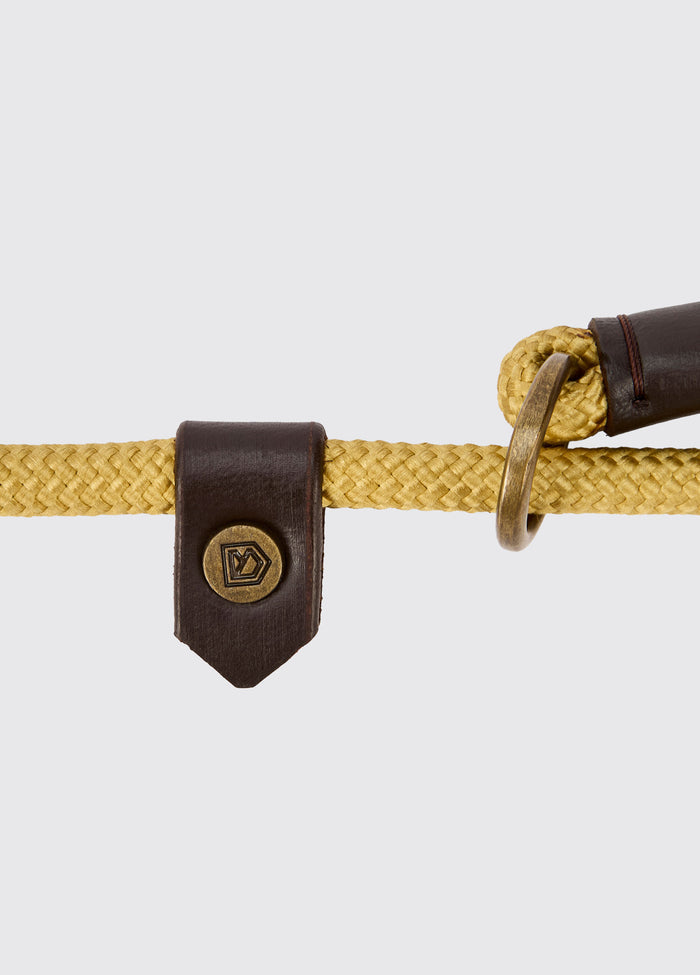 Marley 5ft Nylon Rope slip lead for dogs - Gold