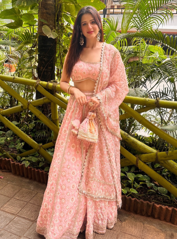 Mulmul Organza Antona Pink Dupatta