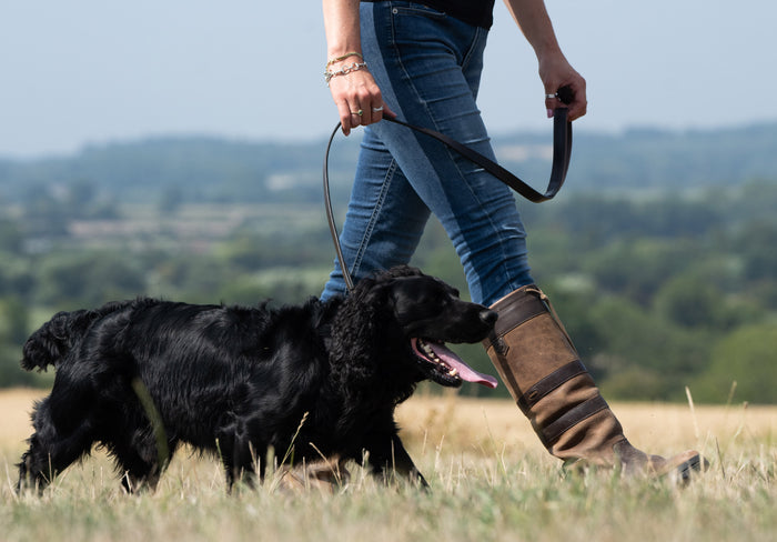 Ranger Leather clipped 4ft (appx) lead - Mahogany