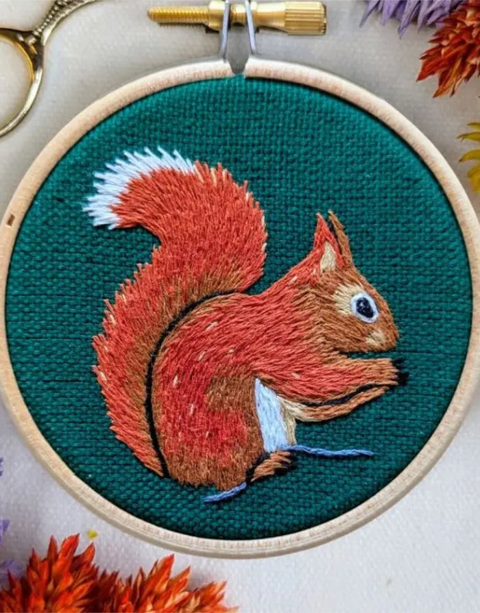 Red Squirrel Mini Embroidery Kit, Paraffle
