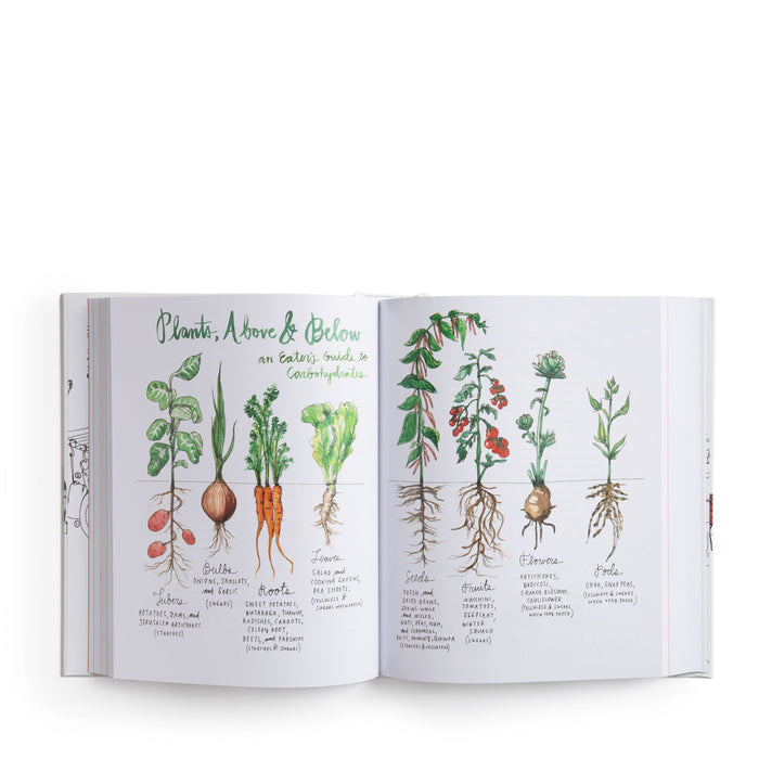 Books Salt Fat Acid Heat Inside Spread