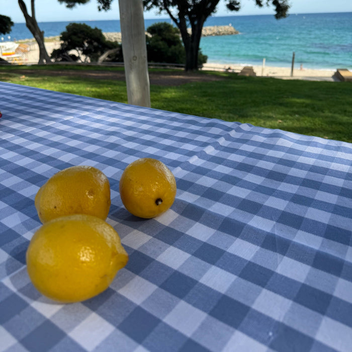 Light blue check tablecloth on picnic table at the beach with lemons on top - ANNIE.G