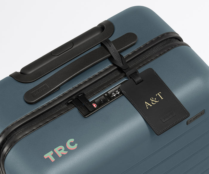 The Bigger Carry-On in Blush Pink